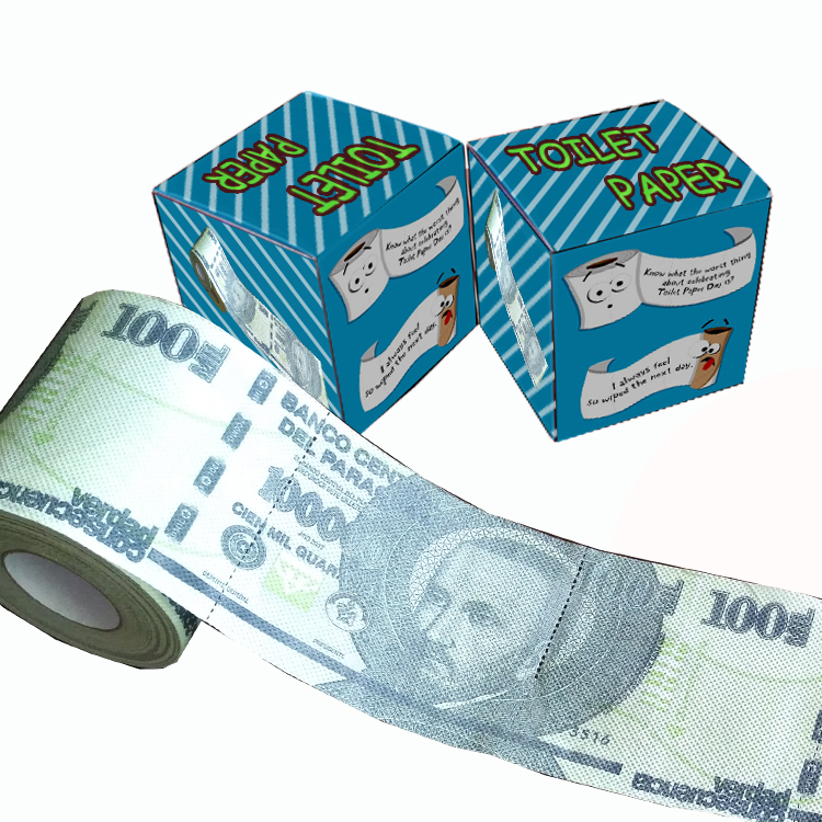 money toilet paper